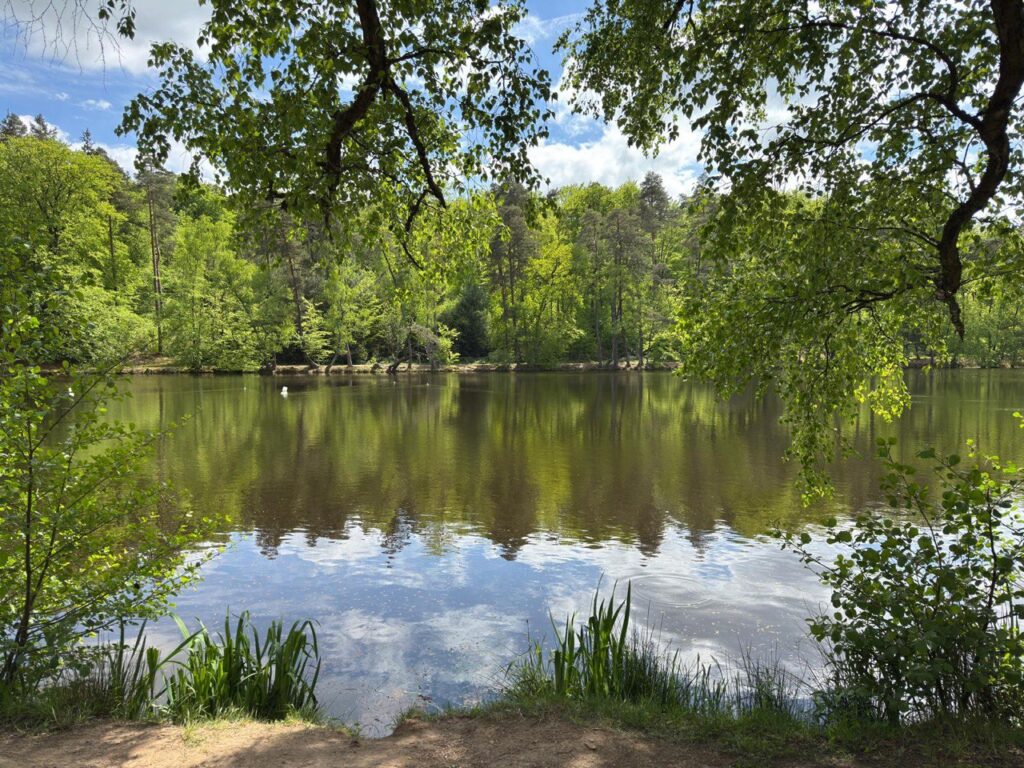 Blick auf den Retzbergweiher bei Sippersfeld
