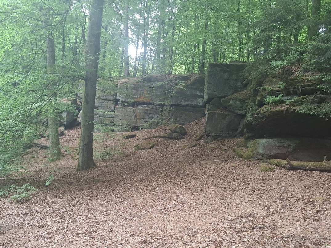 Wanderung bei Kindsbach und Landstuhl