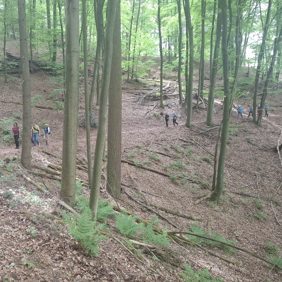 Gemeinschaftswanderung Burg-Nanstein-Weg