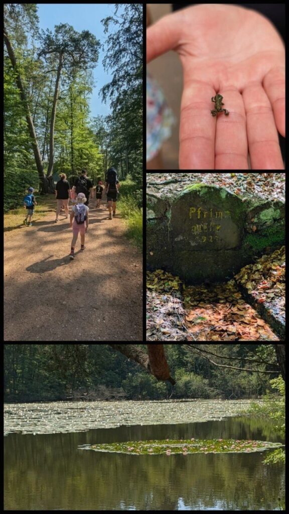 Kollage Familienwanderung
