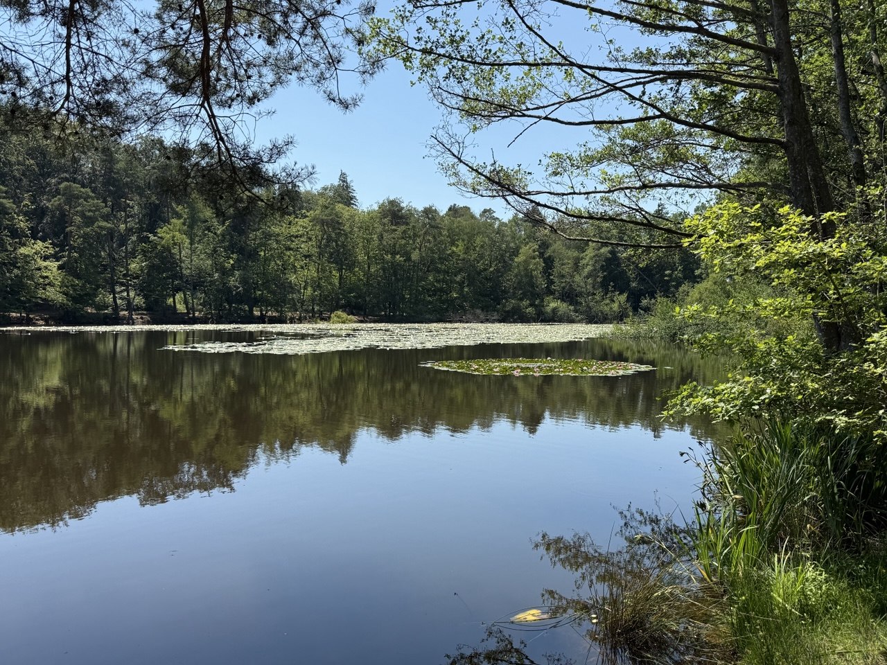 Familienwanderung um den Retzbergweiher – Bericht