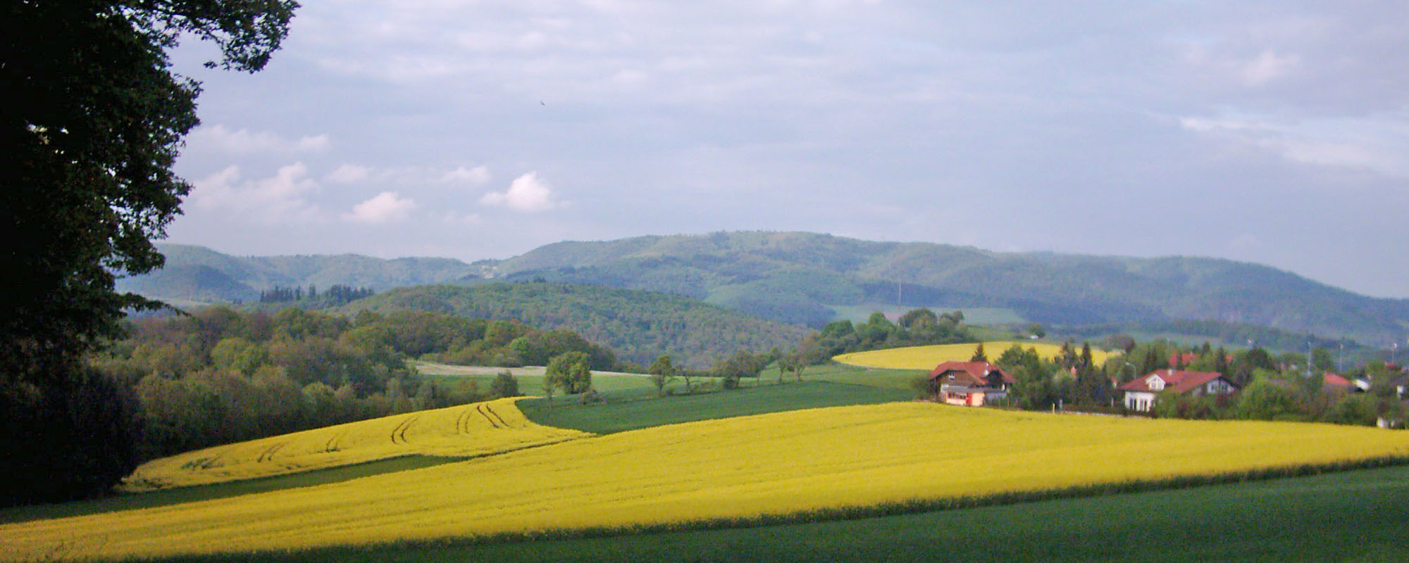 Blick auf Winnweiler und den Donnersberg
