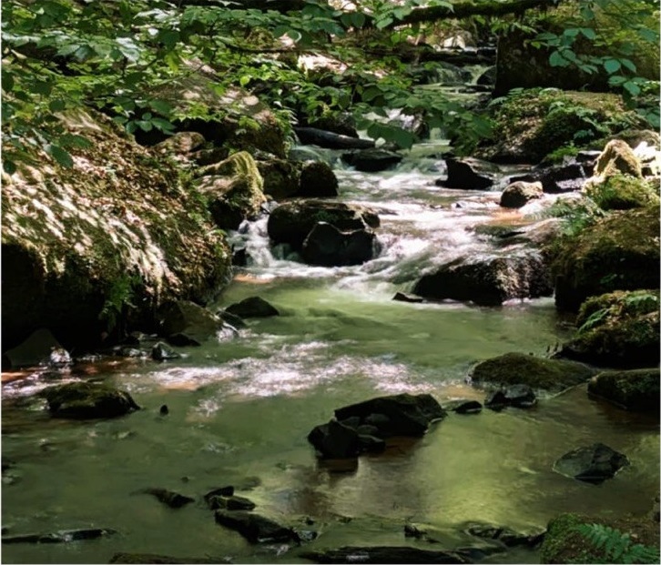 Wanderung durch das Finsterbrunnertal und die Karlstalschlucht im Juli
