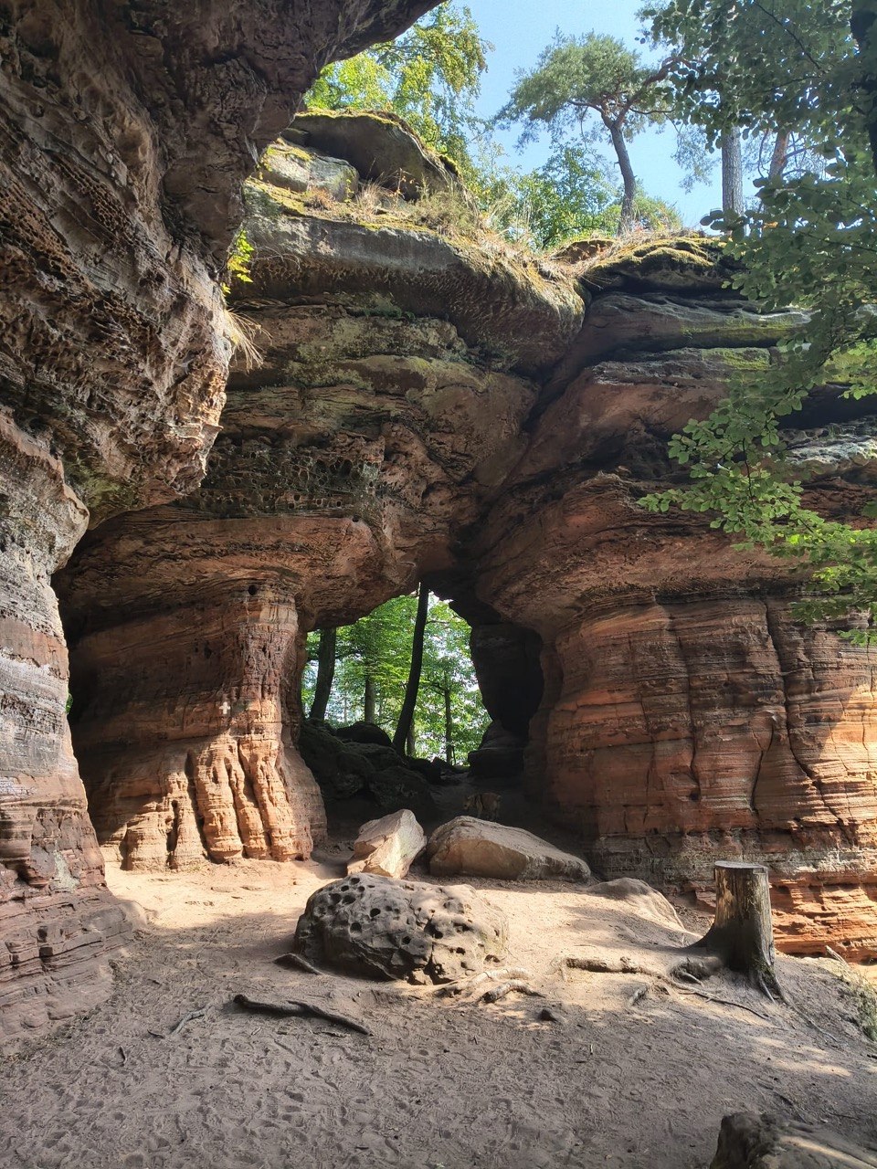 Monatswanderung August „Altschlossfelsen“